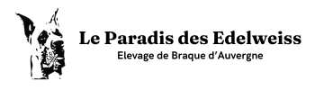 Logo officiel du Paradis des edelweiss