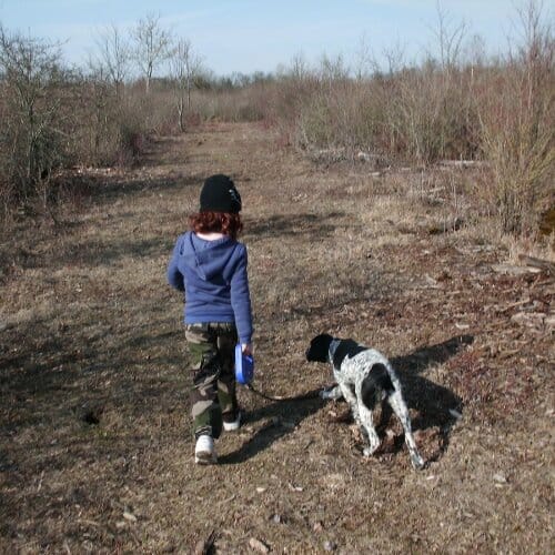 Braque avec un enfant qui tient la laisse